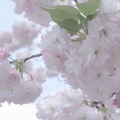 振兴FurryQQ群介绍